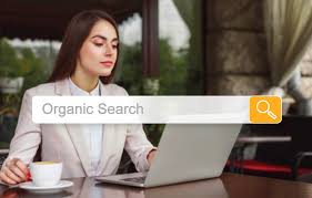 organic search engine optimization company