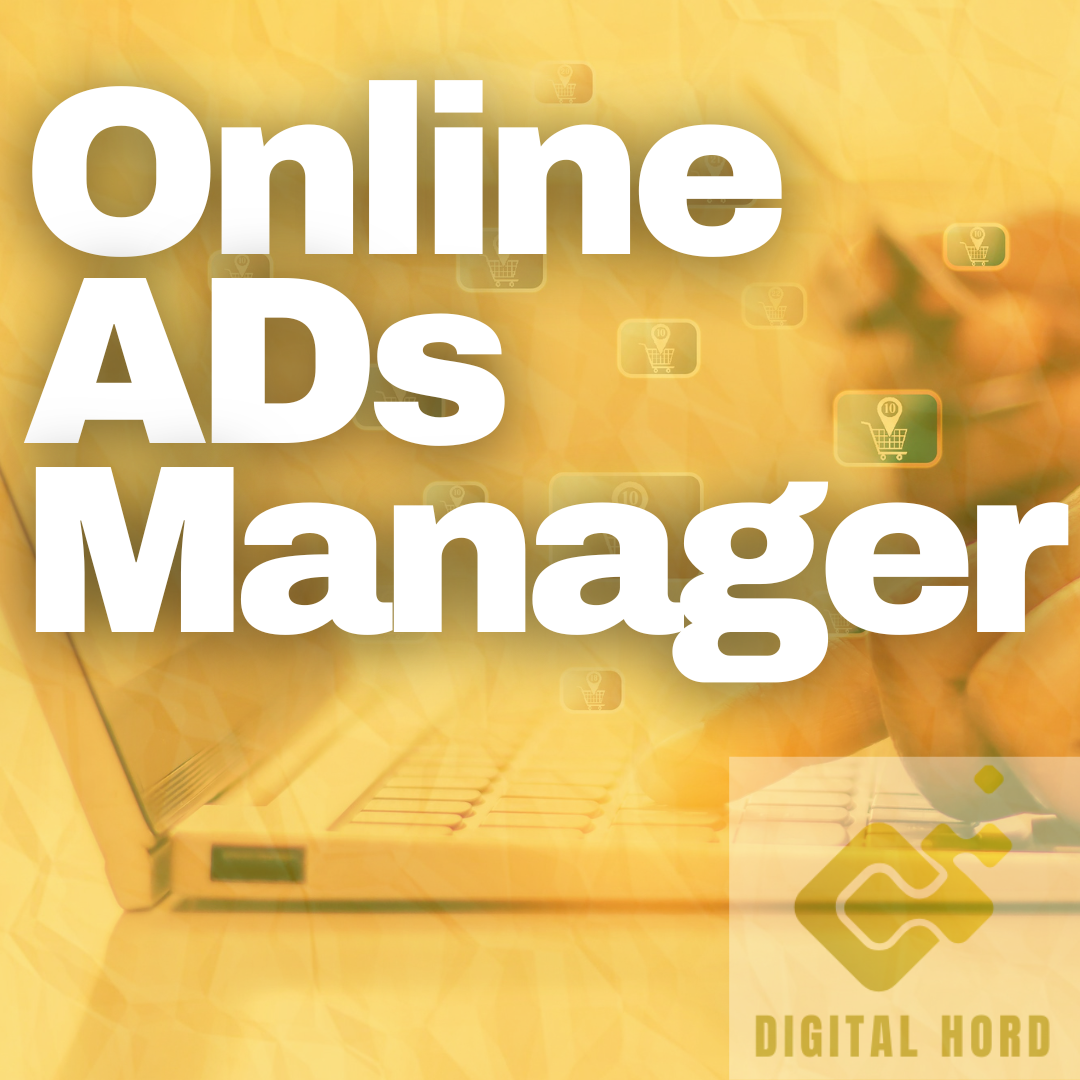 online ad campaign