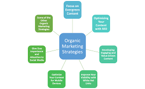 organic digital marketing